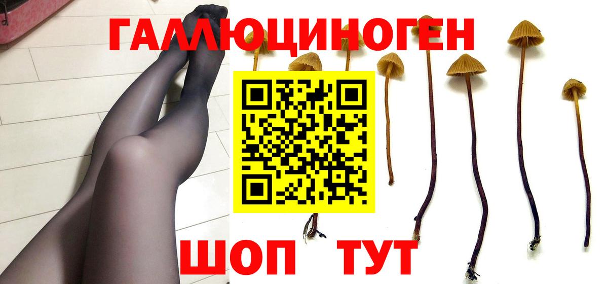 Псилоцибиновые грибы GOLDEN TEACHER Шахты