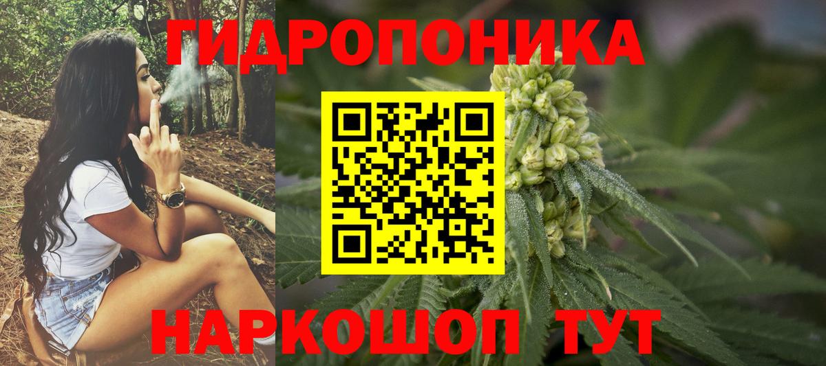 Марихуана семена Шахты